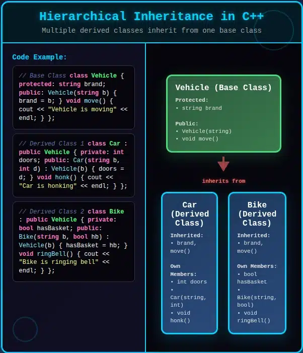 Hierarchical Inheritance in C++