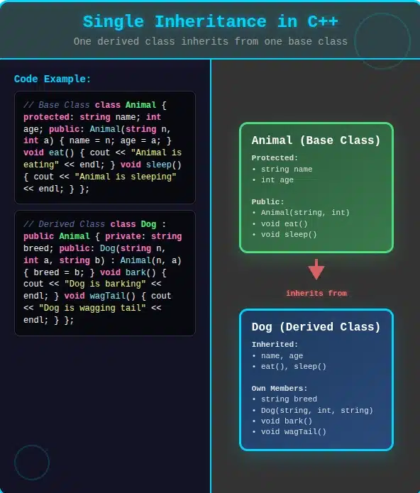Single Inheritance in C++