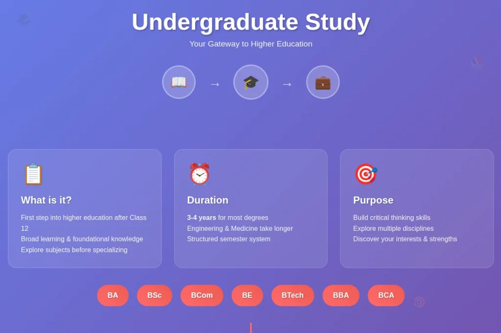 Undergraduate Degree