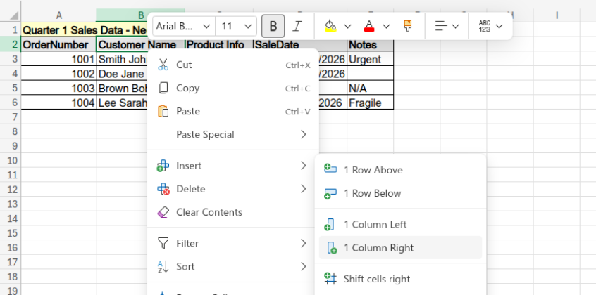 Insert a blank column immediately to the right of the Customer Name column.
