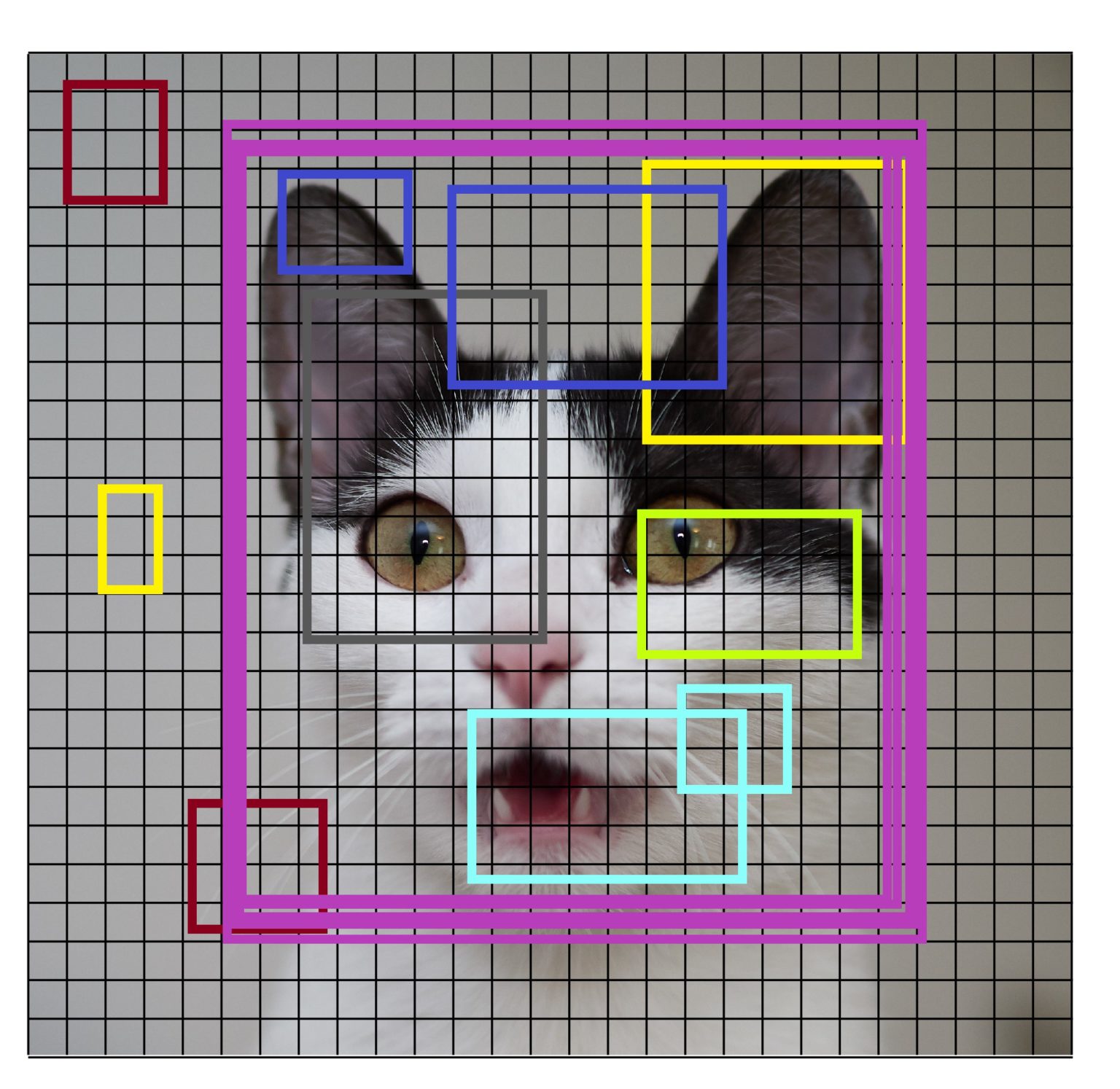 Real-Time Object Detection Using TensorFlow