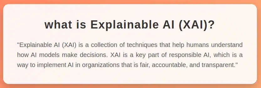  Explainable AI (XAI) Defition