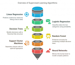 What Are Machine Learning Algorithms? Types and Examples