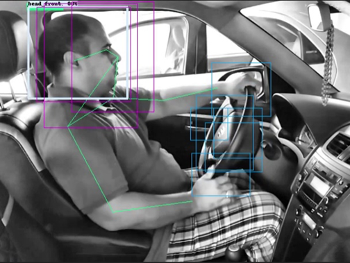 Figure 16 – Steer and Head Area Self Training Detection