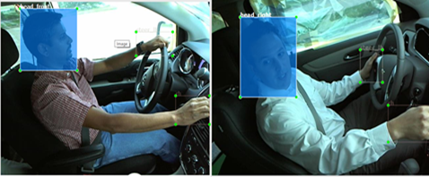 Figure 4 - Images labelled using LabelIng