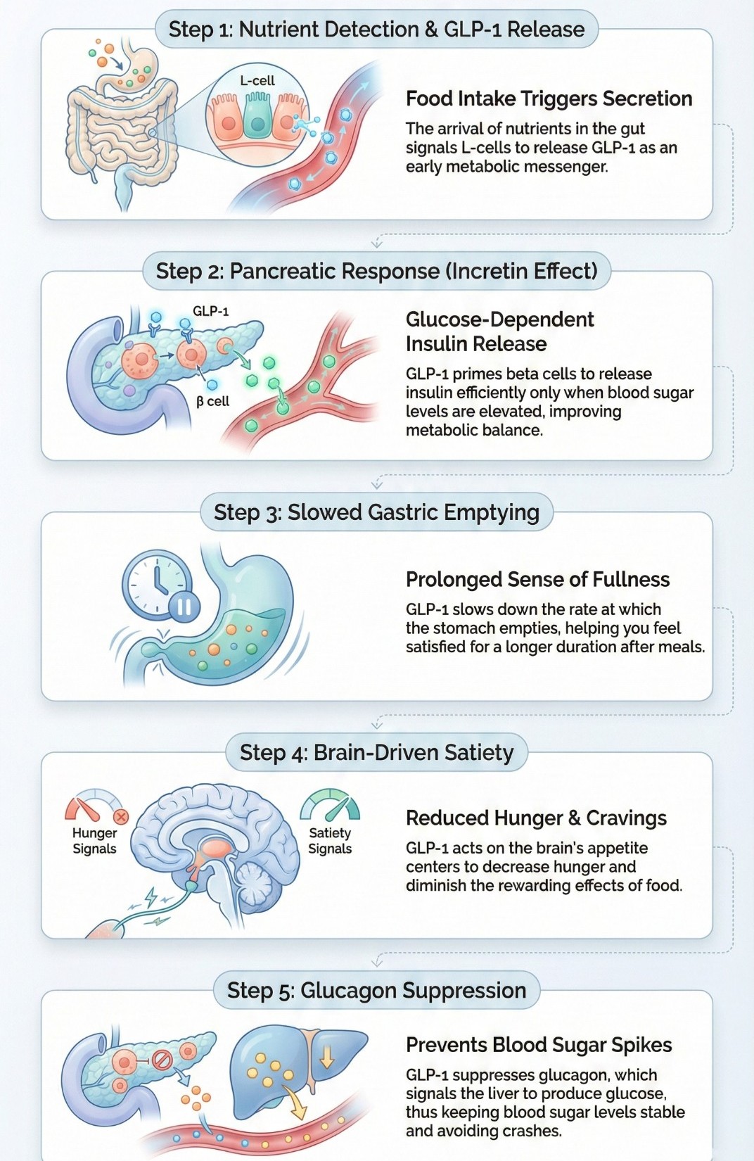Weight Management Consultation: When and How to Introduce GLP-1