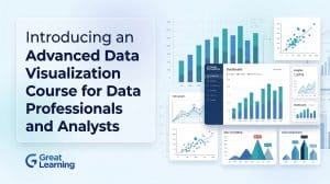 Introducing an Advanced Data Visualization Course for Data Professionals and Analysts